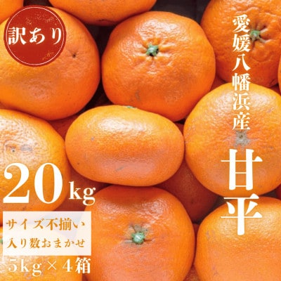 【愛媛が誇る 高級みかん 希少品種】訳あり 甘平 (かんぺい) 20kg【H20-69】【1620340】