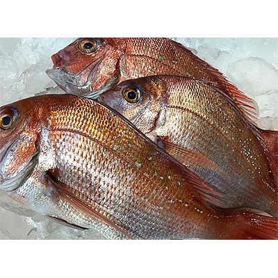 ç«¹äžæ°Žç£ã®ããåºèº«çšå€©ç¶çé¯ãçŽ2ããã»ãã!(倧ãäžãå°æ··:1ã3æ)ãD22-263ããé
éäžå¯å°åïŒé¢å³¶ã»åæµ·éã»æ²çžçãã1075515ã