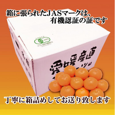 ãJASèªèšŒææ©æ œå¹ãæ¿åãªå³ããã®æž©å·ã¿ãã!!èæ± 蟲åãåæ20å·ã5kgãC39-23ãã1044610ã