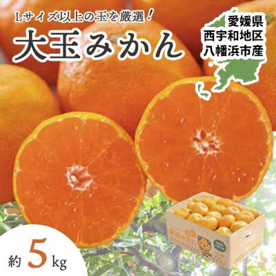 大玉サイズのみ厳選!八幡浜産 愛媛みかん5kg【訳あり】【A25-219】【1626146】 YWTAP160
