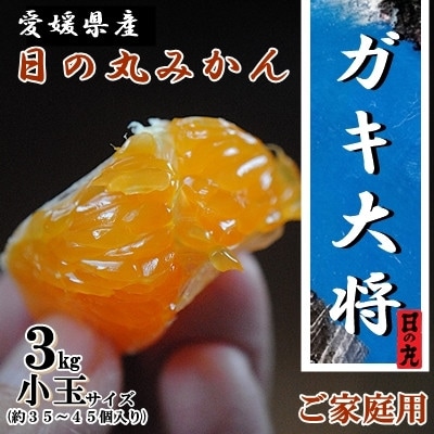 果汁しっかり自然の恵み!「ガキ大将」3kg(小玉サイズ)/日の丸みかん/ご家庭用【C79-16】【1452039】
