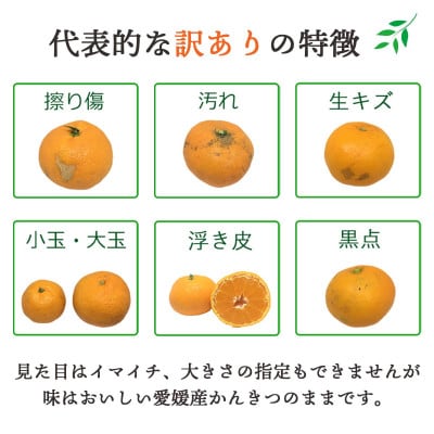 【訳あり】せとか 7kg 愛媛県 八幡浜産市 西宇和地区 柑橘の女王【E25-329】【1714501】