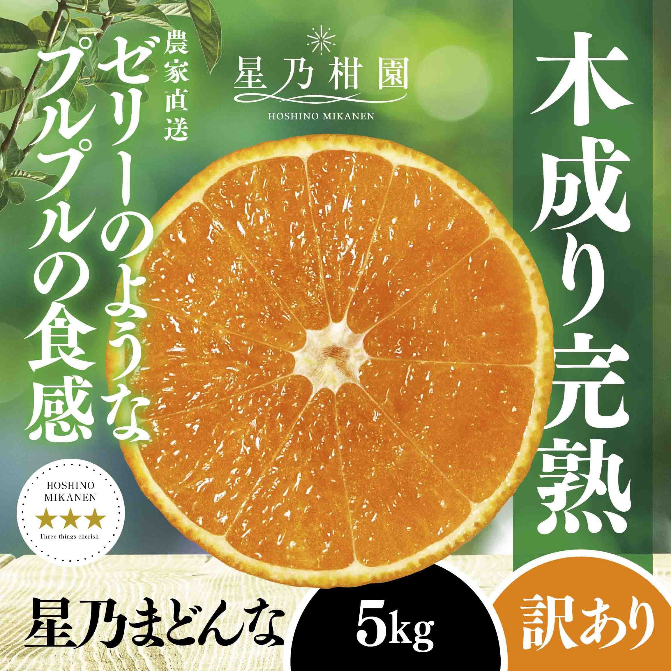 【三つ星ブランド】星乃みかん園の星乃まどんな(5kg)【訳あり】【D45-62】【1339328】 YWTAZ025