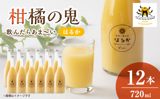 はるかジュース　720ml×12本【H56-77】【1668611】