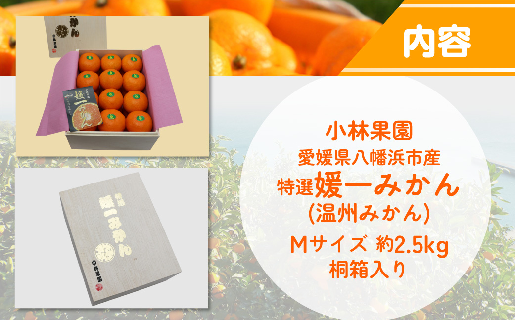 【先行受付】桐箱入り・媛一みかん(2.5kg)【D24-4】 YWTAD002