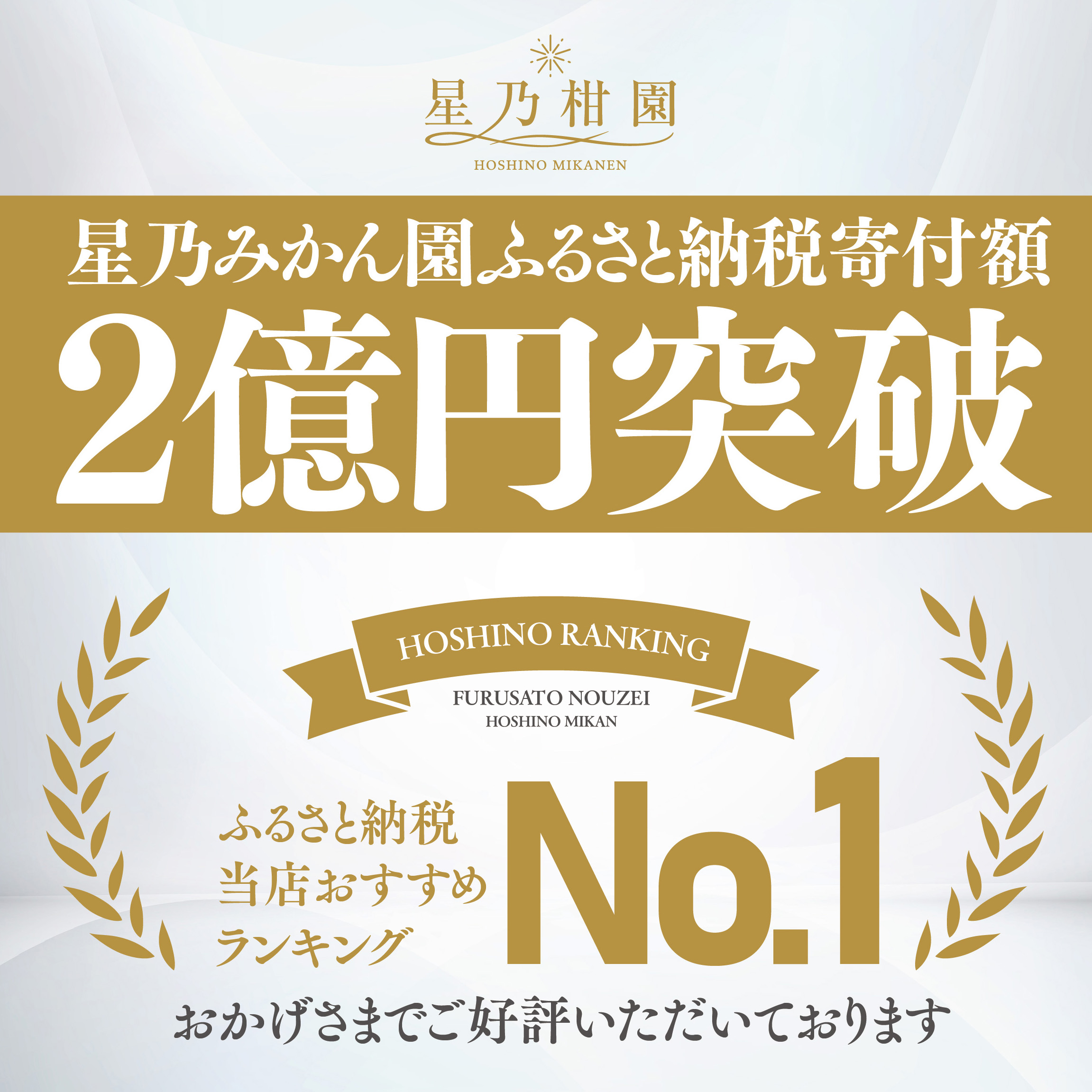 【三つ星ブランド】星乃みかん(3kg)【A45-96】【1625777】 YWTAZ058