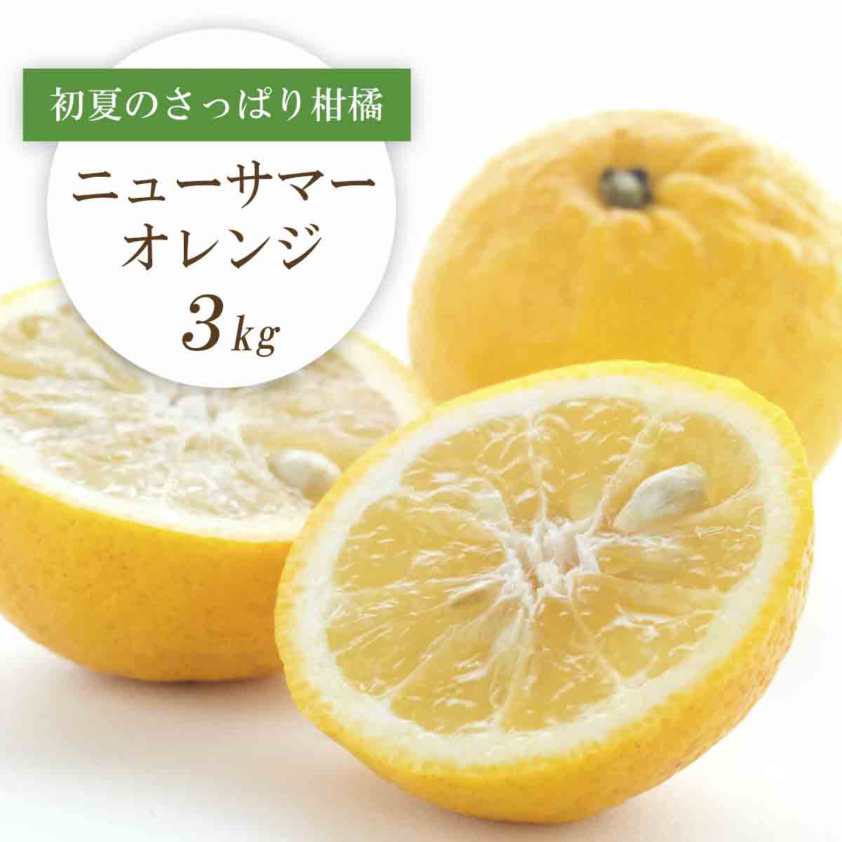 【2026年4月下旬頃出荷】ワタまでおいしい ニューサマーオレンジ 3kg【C25-212】【1612591】 YWTAP153