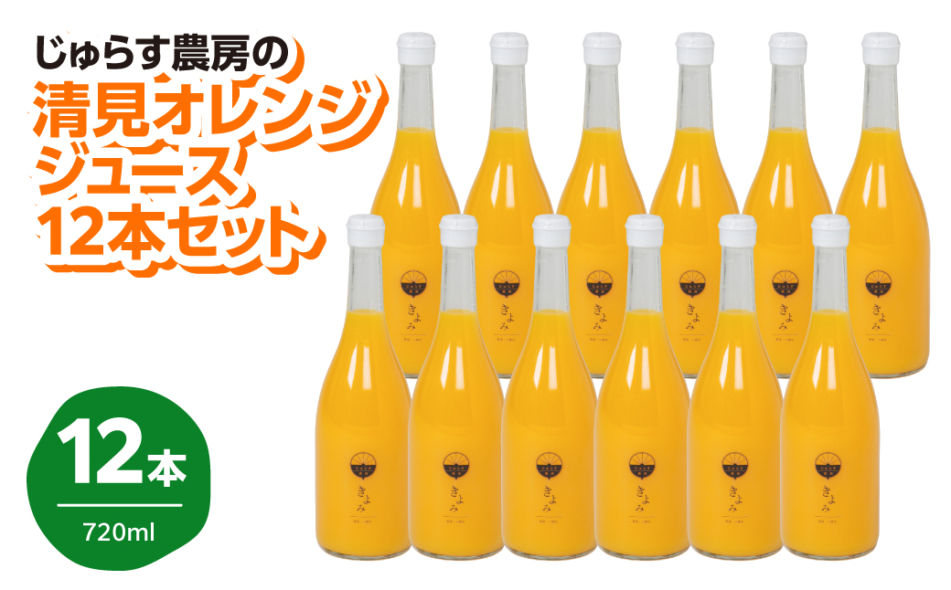 じゅらす農房の清見オレンジジュース12本セット【H32-13】【1296473】 YWTH012