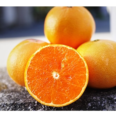 無添加100%ストレートジュース(きわみジュース×せとかジュース)2本セット【F19-5】【1059658】