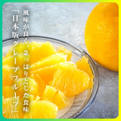 三代目の河内晩柑7kg(家庭用)【C31-30】【配送不可地域：離島】【1232986】