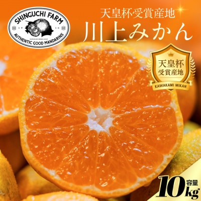 【天皇杯受賞産地】川上みかん 10kg【愛媛県八幡浜市】新口農園厳選【E70-126】【1684224】