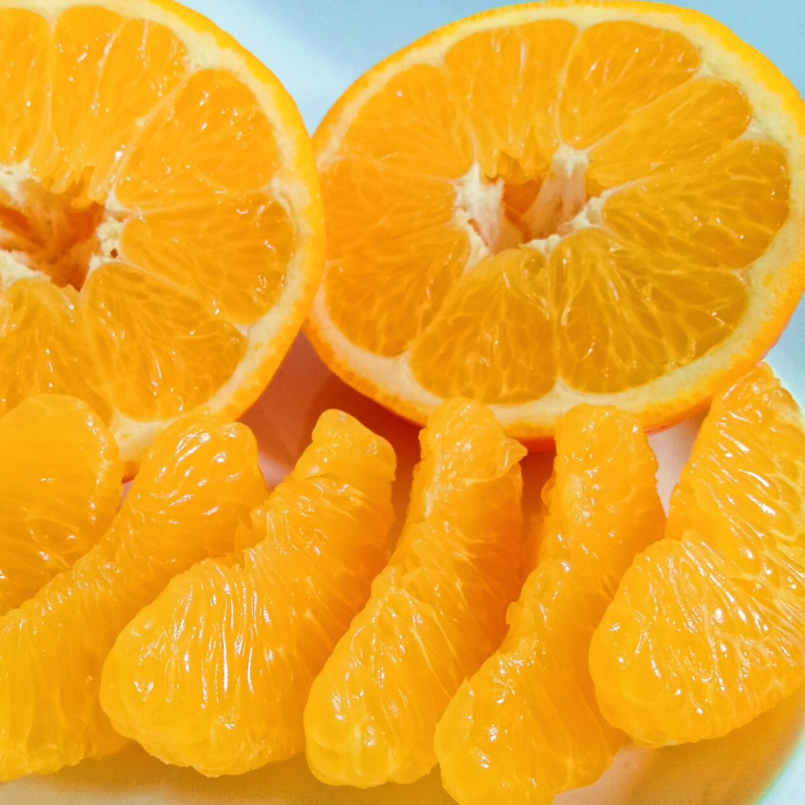 ãå
è¡åä»ãæå²ææš¹åãäŒäºæãèš³ãã çŽ9kgã71-72ãYWTS055