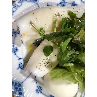 遶ケ荳ュ豌エ逕」縺ョ繝舌Λ繧ケ繝ォ繝。2kg(蟆丞ー上し繧、繧コ)縲織22-223縲代宣埼∽ク榊庄蝨ー蝓滂シ夐屬蟲カ縲代1115290縲