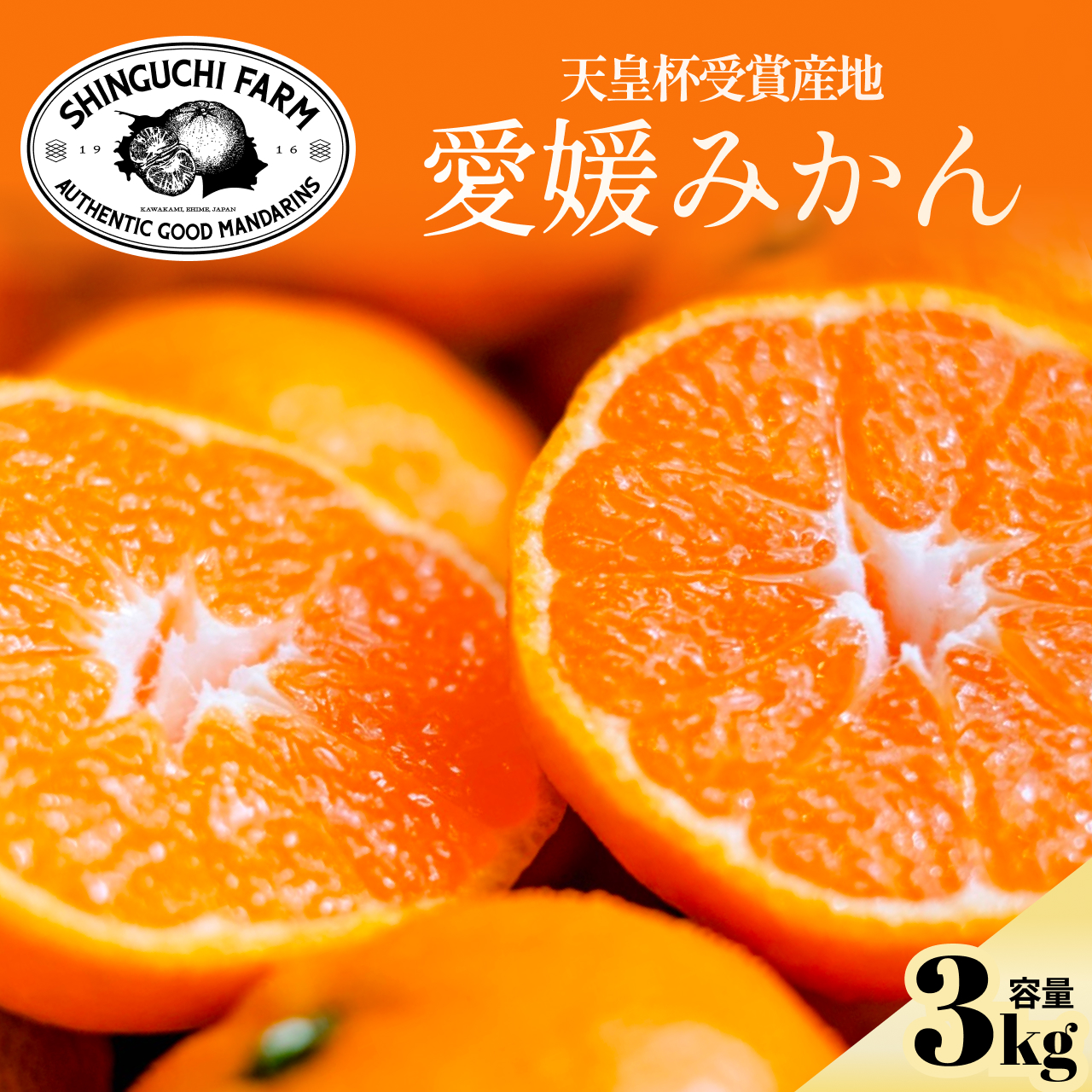 【太陽の旨みがギュッと凝縮】愛媛みかん3kg 農家直送 愛媛県川上産【C70-59】【1555030】 YWTK059