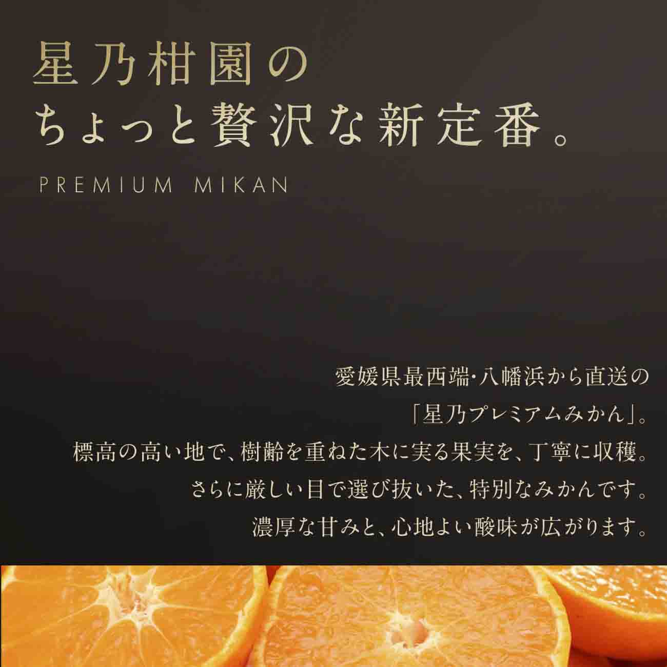 【三つ星ブランド】星乃みかんプレミアムシリーズ(3kg)【C45-94】【1625778】 YWTAZ056