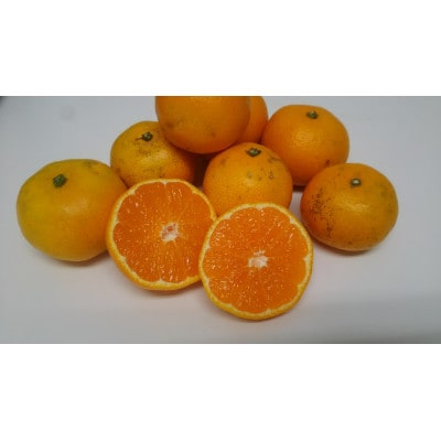 家庭用みかん4.5キロ【C78-3】【1578076】