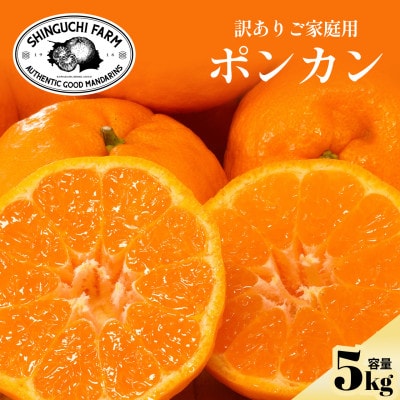 【数量限定】今シーズン発送!【訳あり】ポンカン 5kg 愛媛県産【C70-167】【1711269】