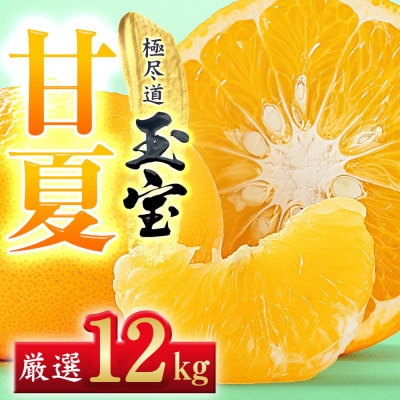 【愛媛名産】玉宝甘夏　12kg【F64-75】【1621820】
