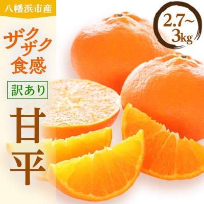 柑橘の鬼たちがつくる八幡浜産・甘平(2.7kg〜3.0kg)【訳あり】【D56-49】【配送不可地域：離島】【1486185】