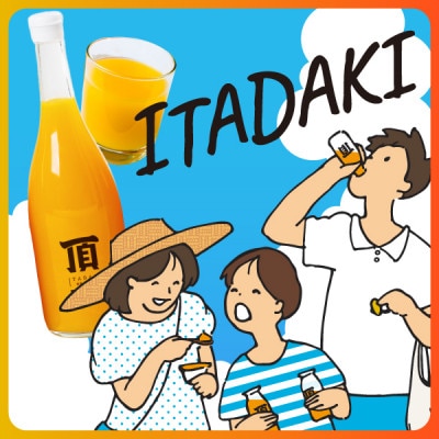 頂みかんジュース3本入り(720ml×3本)【C31-24】【1081310】