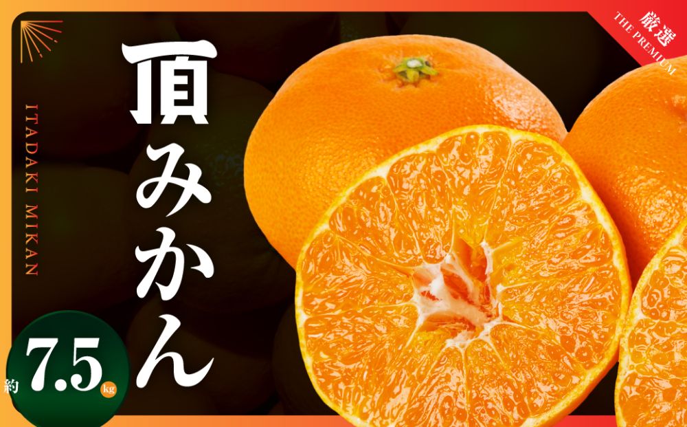 三代目の【頂みかん】7.5kg【E31-48】【1573267】 YWTAC037