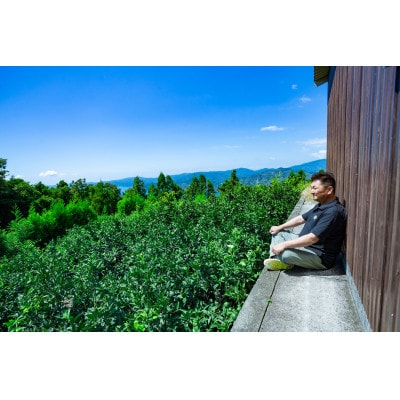 【無添加】玉宝みかんジュース(720ml×3本)【C64-5】【1304919】