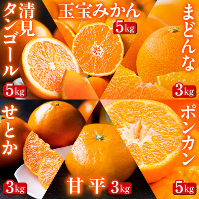 【発送月固定定期便】「蜜時(みつどき)便り」みかんやまどんな、甘平、せとかなど【H64-93】全6回【4069713】