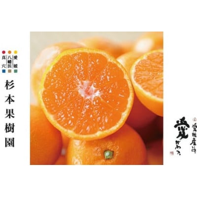 【2025年12月以降順次発送】〈特選〉真穴、八寿みかん(南柑20号)3kg【C34-29】【1510697】