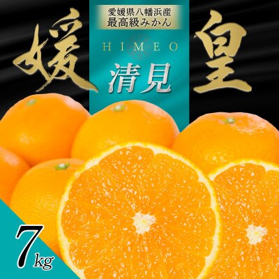 最高級みかん 媛皇 清見 7kg 愛媛県 八幡浜市 西宇和地区 柔らかい果肉【F25-338】【配送不可地域：離島】【1716849】