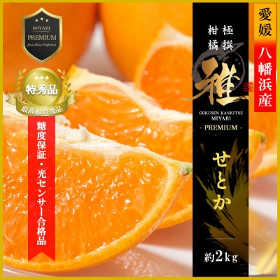 極撰柑橘【雅プレミアム】糖度保証・光センサー合格品「 せとか 」約2キロ【D39-62】【配送不可地域：離島】【1614238】