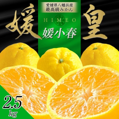 最高級みかん 媛皇 媛小春 2.5kg 愛媛県 八幡浜市 希少な幻の柑橘 黄色【E25-320】【1714057】
