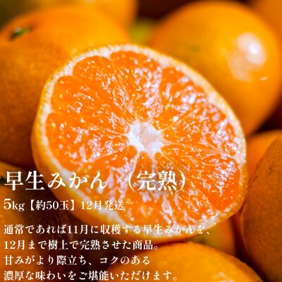 縲千匱騾∵怦蝗コ螳壼ョ壽悄萓ソ縲代梧凾譛溘∫ィョ鬘槭↓繧医k蜻ウ縺ョ驕輔>繧呈・ス縺励縲肴帛ェ帙∩縺九s鬟溘∋豈斐∋縲食70-80縲大ィ3蝗槭4067801縲