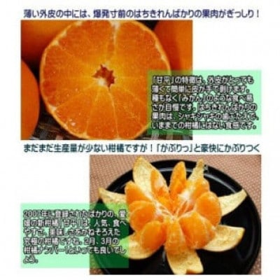 はちきれんばかりの果肉がぎっしり!愛媛県八幡浜産・甘平5kg【訳あり】【E35-16】【配送不可地域：離島・北海道・沖縄県】【1492238】