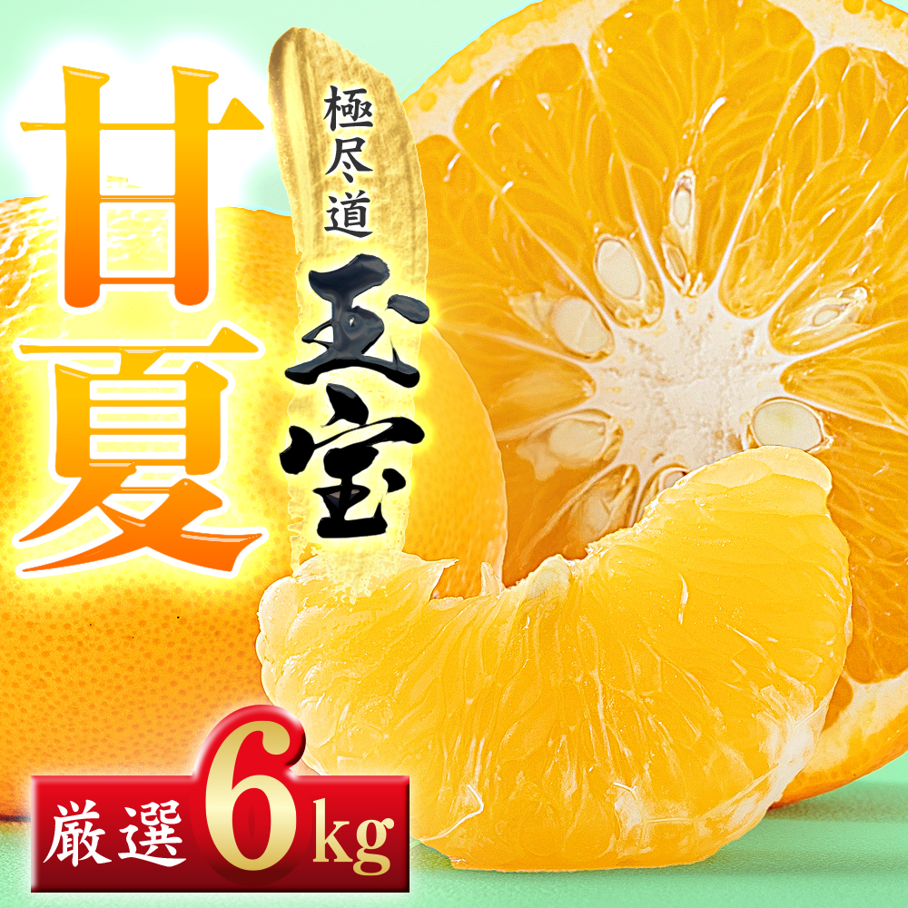【愛媛名産】玉宝甘夏　6kg【C64-74】【1621819】 YWTY063