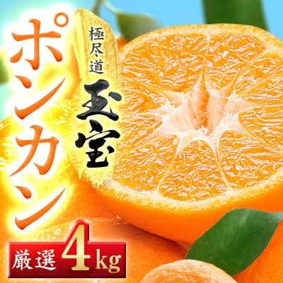 【愛媛名産】玉宝ポンカン　4kg【C64-65】【1621807】