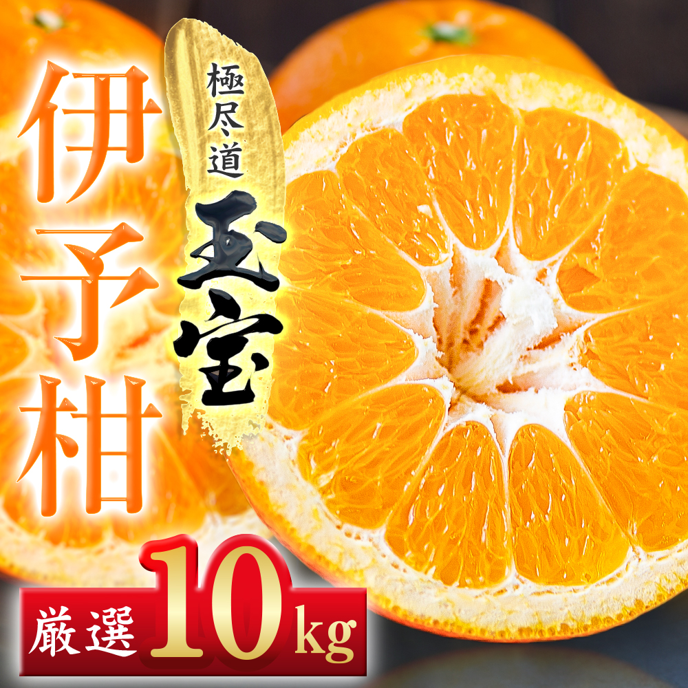 【愛媛名産】玉宝伊予柑　10kg【F64-60】【1510839】 YWTY049