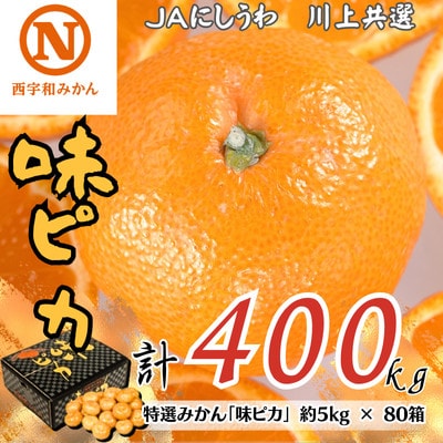 特選みかん「味ピカ」計400kg(約5kg×80箱)【H08-85】【1510465】