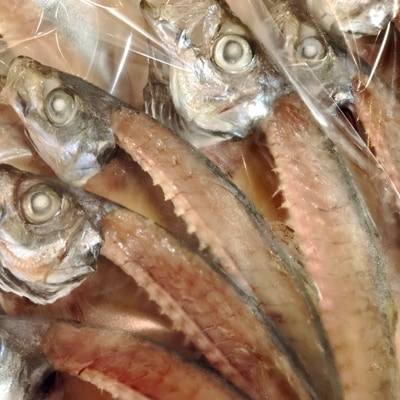 ç«¹äžæ°Žç£ã®ãå ã®å€©æ¥å¹²ã(å®åæµ·ç£å€©ç¶ã¢ãž)ã10ã15å¹(1.5ããä¿èšŒ)ãD22-216ããé
éäžå¯å°åïŒé¢å³¶ãã1043160ã