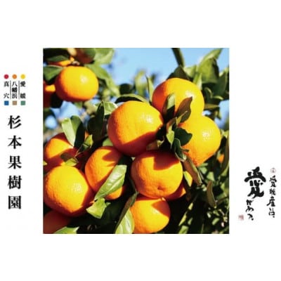 【家庭用】真穴、八寿みかん(南柑20号)5kg【C34-40】【1692446】