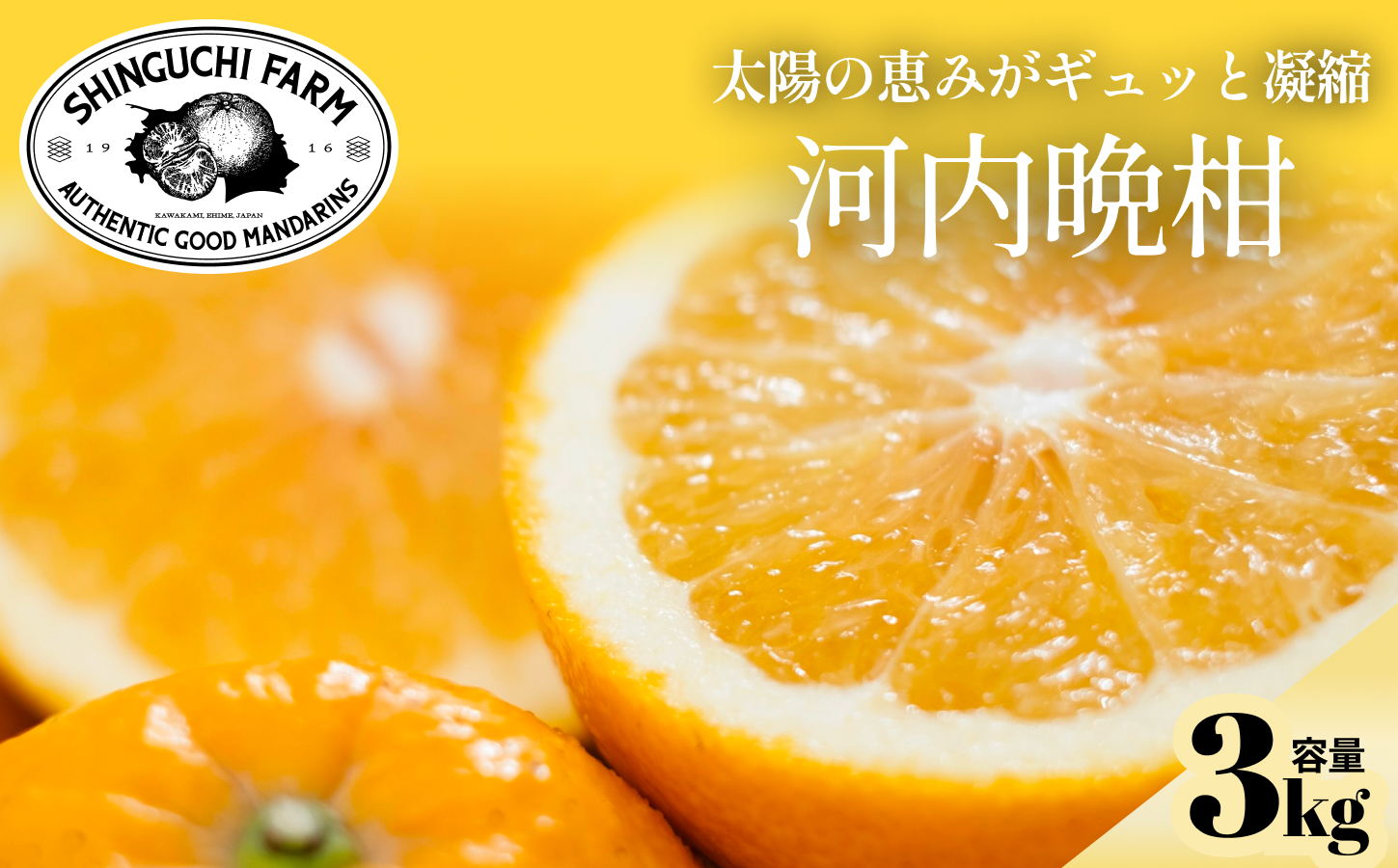 【先行受付】【太陽の恵みをギュッと凝縮】河内晩柑 3kg 愛媛県産【C70-70】【1615822】 YWTK069