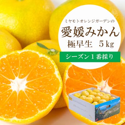 繧キ繝シ繧コ繝ウ1逡ェ謗。繧!蜈ォ蟷。豬懃肇 讌オ譌ゥ逕溘∩縺九s 5kg縲燭25-35縲代1044407縲 YWTAP026