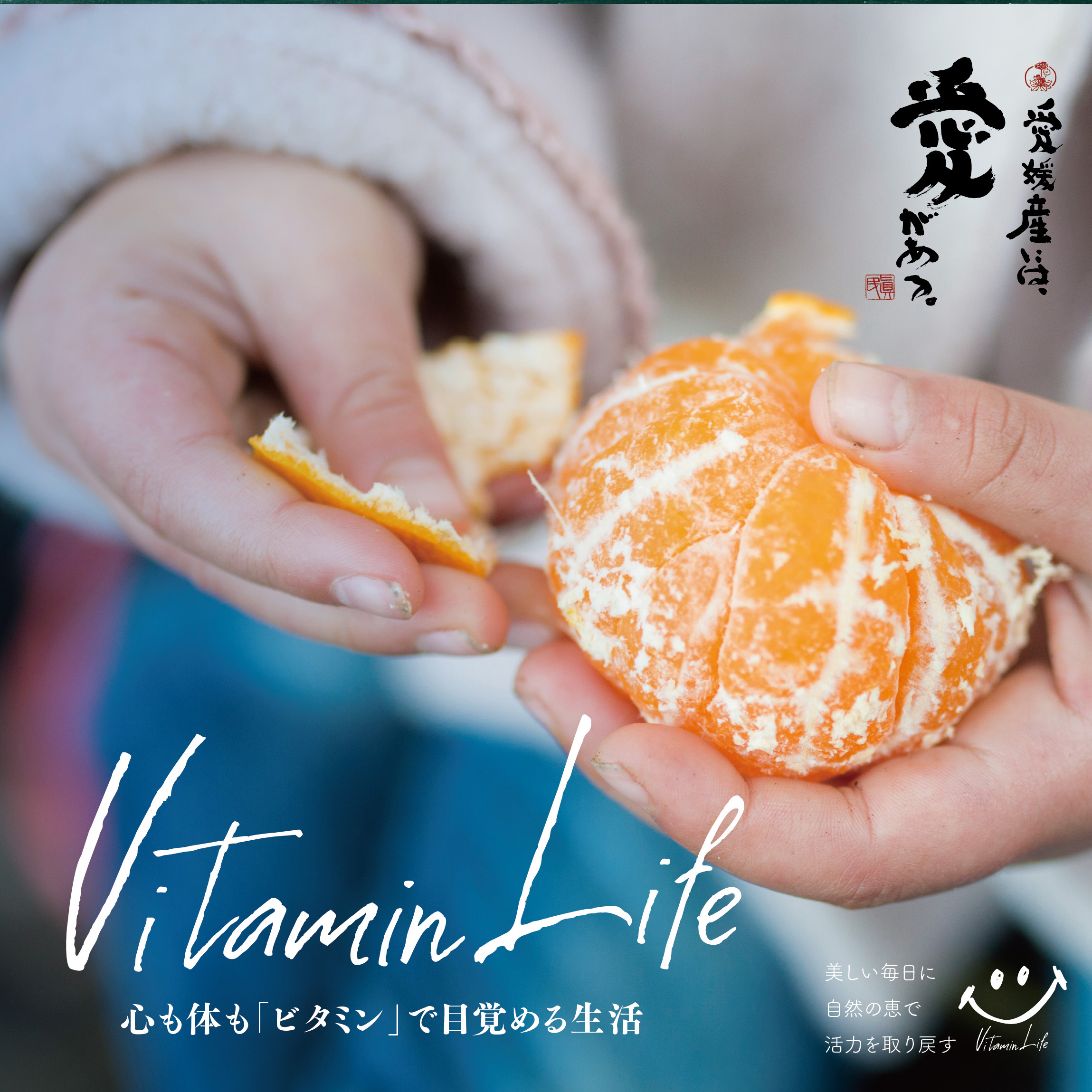 【訳あり】星乃みかん園の星乃みかん(5kg)【A45-98】【1650693】 YWTAZ060