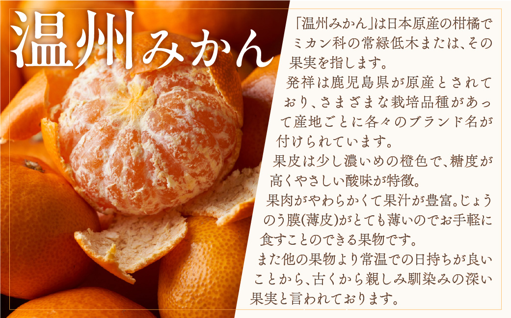 【先行受付】小林果園の愛媛みかん(約5kg)【訳あり】【C24-15】 YWTAD008