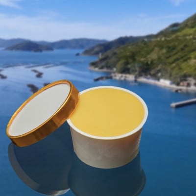 里海シャーベット【C92-1】【配送不可地域：離島】【1694736】