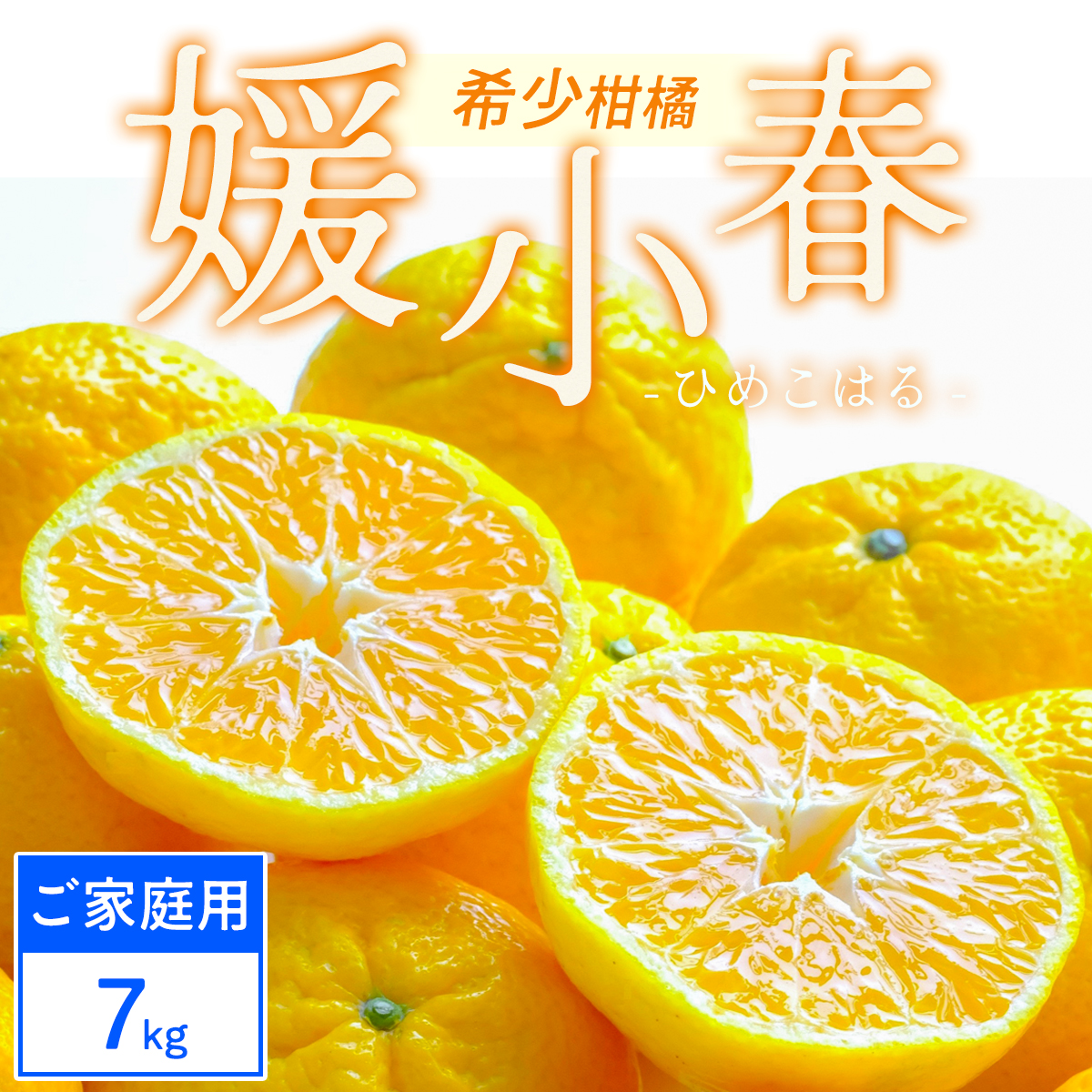 【ご家庭用】媛小春 7kg 愛媛県 八幡浜市 西宇和地区 希少な幻の柑橘【F25-325】【1714079】 YWTAP266