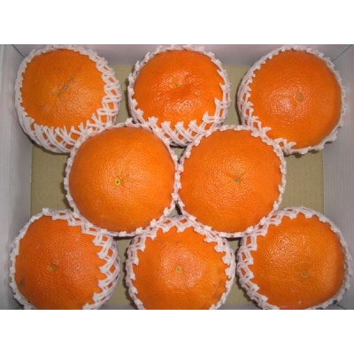 çå¹³ãå®¶åºçšãçŽ3kgãD76-19ãã1707399ã