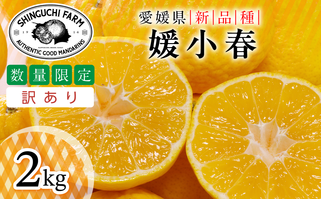 縲仙郁。悟女莉倥代占ィウ縺ゅj縲大ェ帛ー乗丼 2kg縲植70-161縲代1710481縲 YWTK160