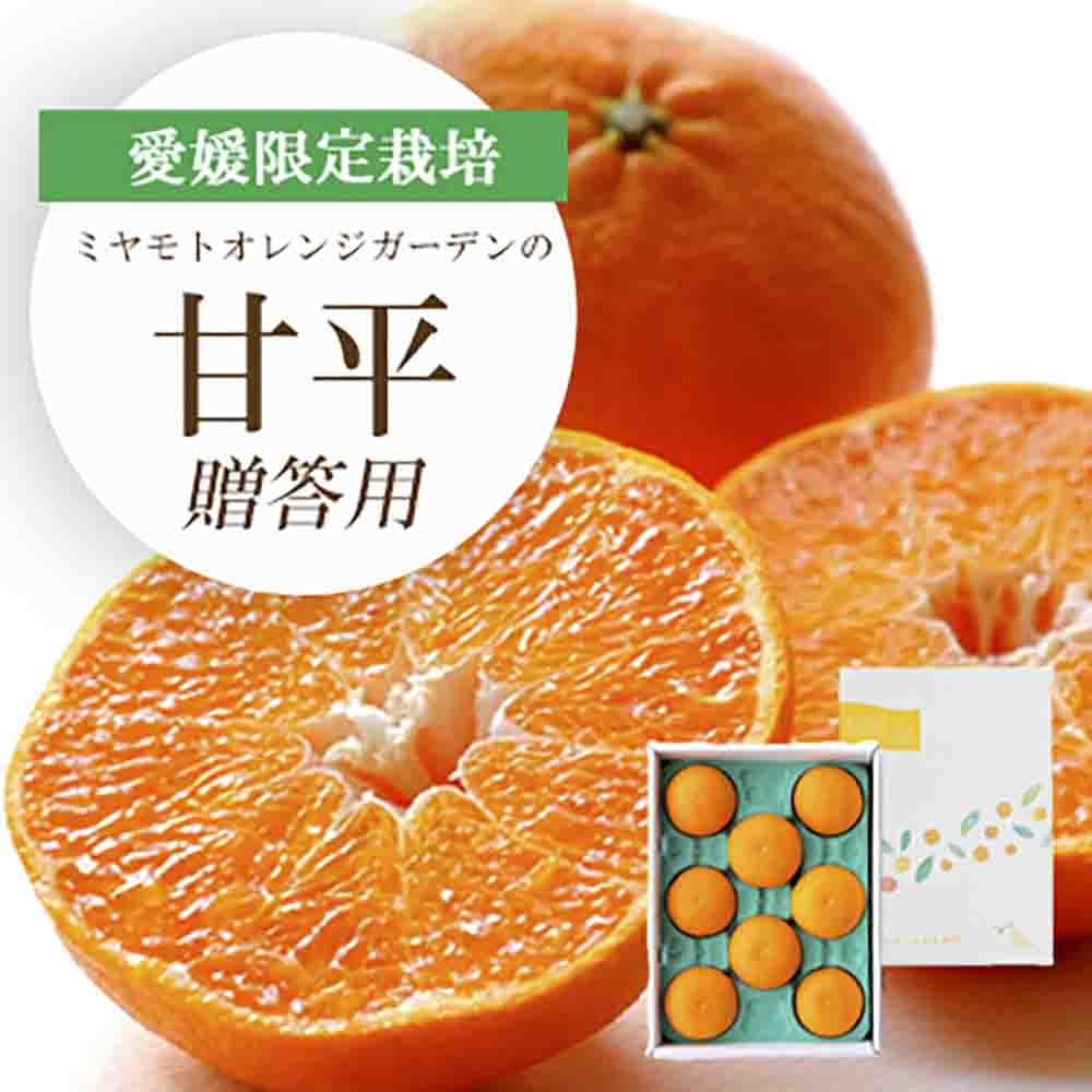 【先行受付】愛媛限定栽培柑橘 甘平(かんぺい) ギフトボックス入り【E25-99】【1360088】 YWTAP050