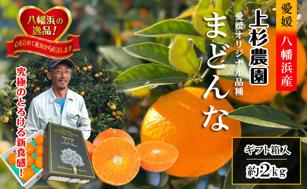 【先行受付】ギフト対応化粧箱入・上杉農園のぷるぷる新食感!「マドンナ」約2kg【C39-50】【1450439】 YWTF025