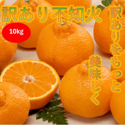 【訳あり】みさき果樹園の不知火10kg【C21-61】【1705416】